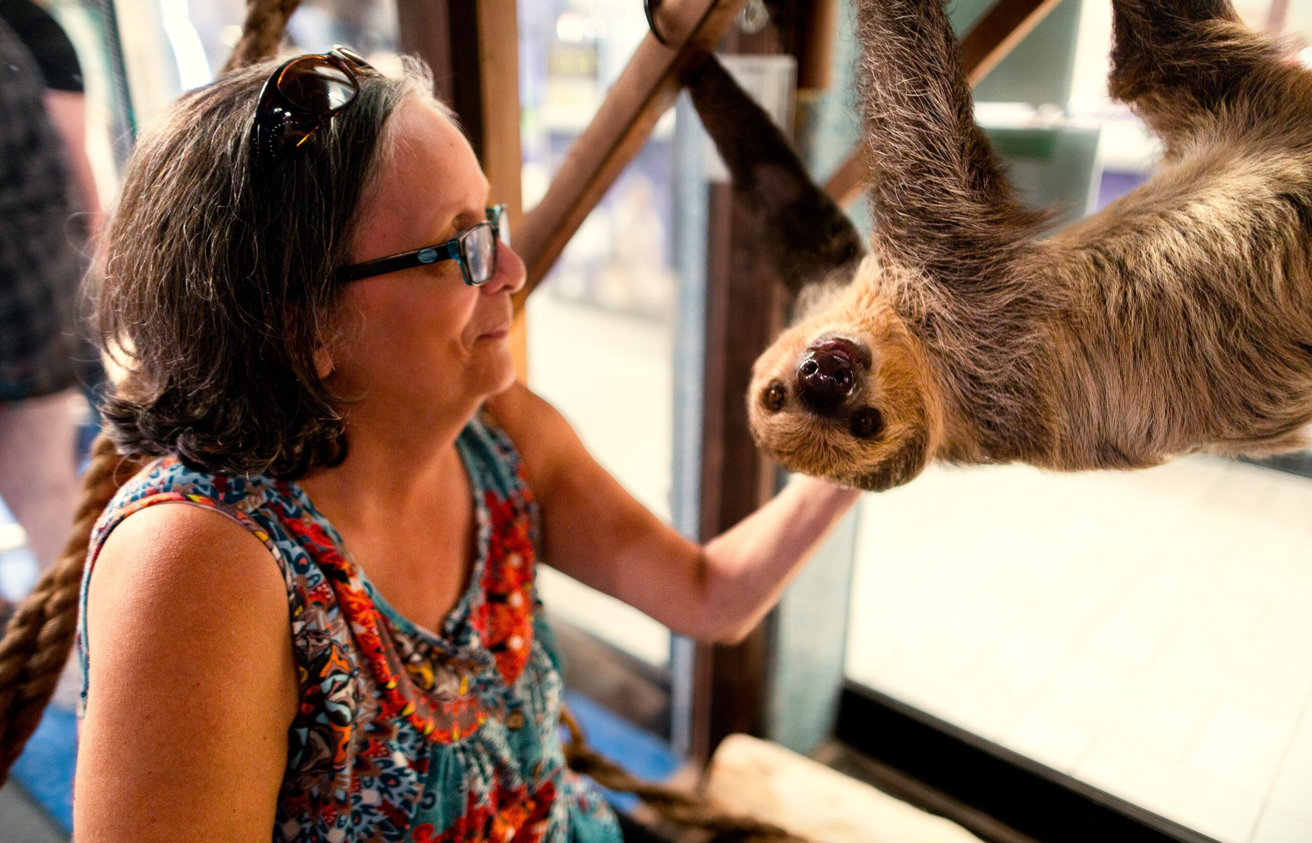 woman pets a sloth at SeaQuest