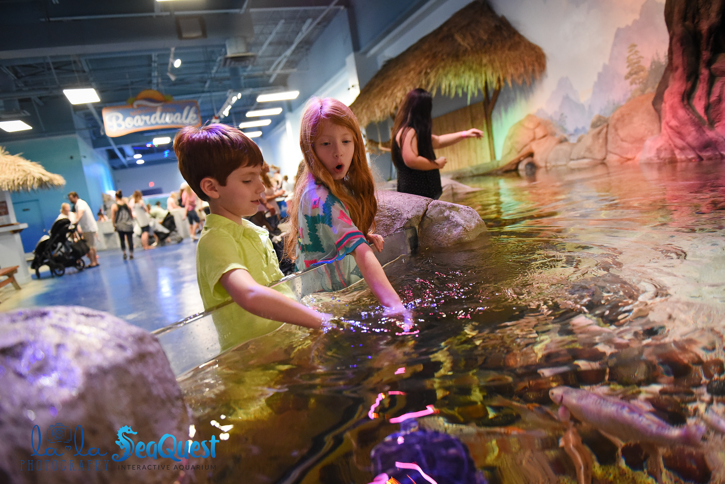 Kids discover new fish at SeaQuest