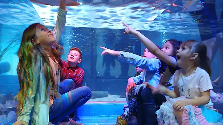 Kids At Las Vegas Aquarium