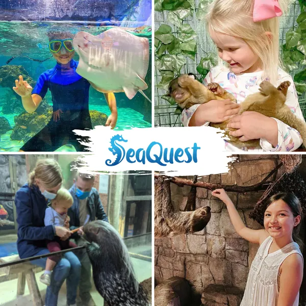 Activities SeaQuest Woodbridge