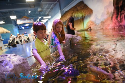 Two kids feed the fish at SeaQuest Aquarium