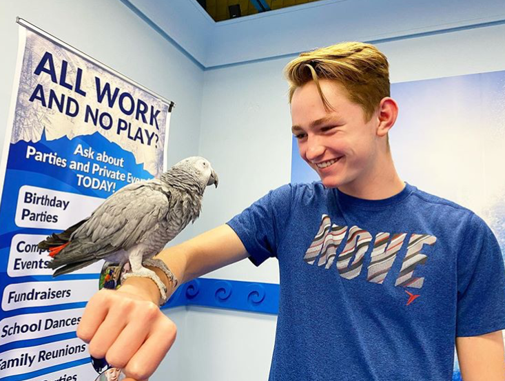 Young man holds Grey parrot