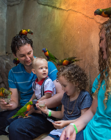 Kids hold parakeets at aquarium