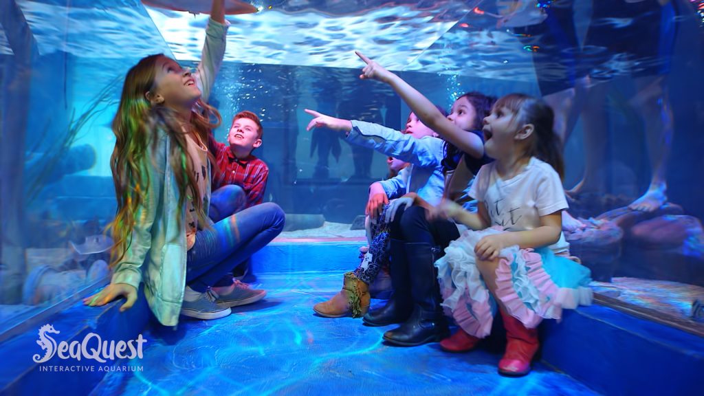 Kids in underwater tunnel at SeaQuest Aquarium