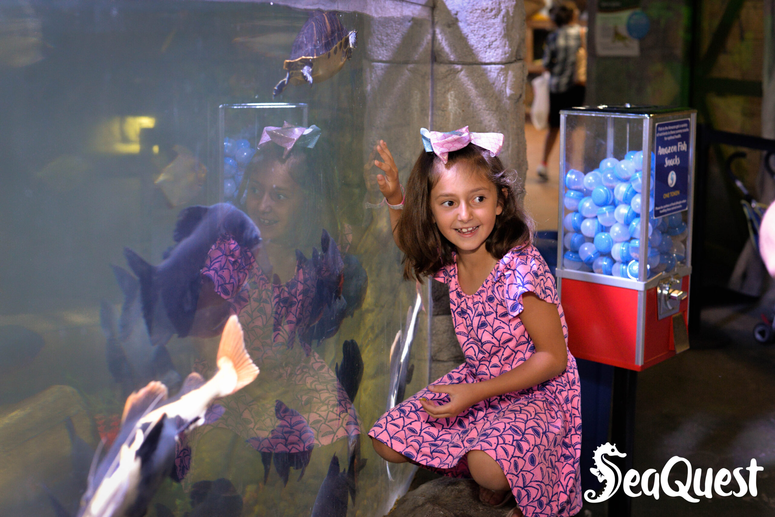 Girl feeds fish at SeaQuest