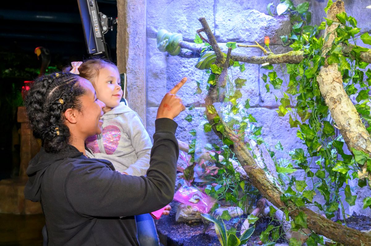 Mom and child look at birds at SeaQuest