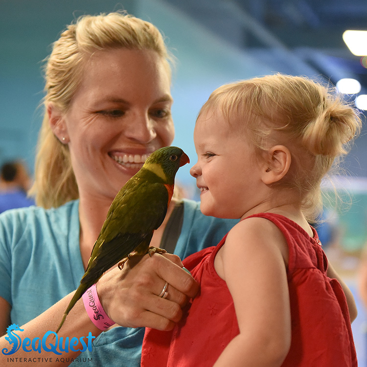 Woman and young child hold an exotic bird
