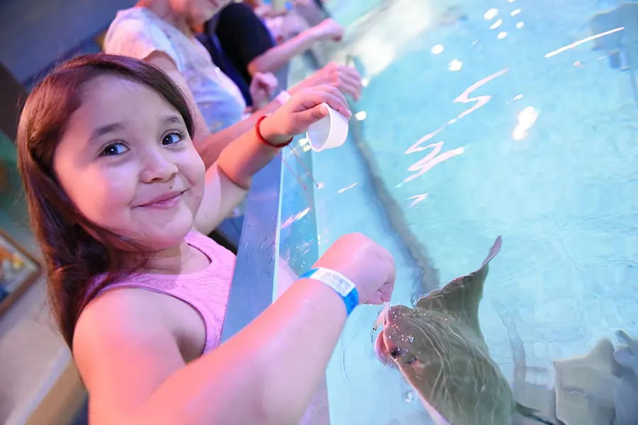 Young girl feeds fish at SeaQuest Aquarium