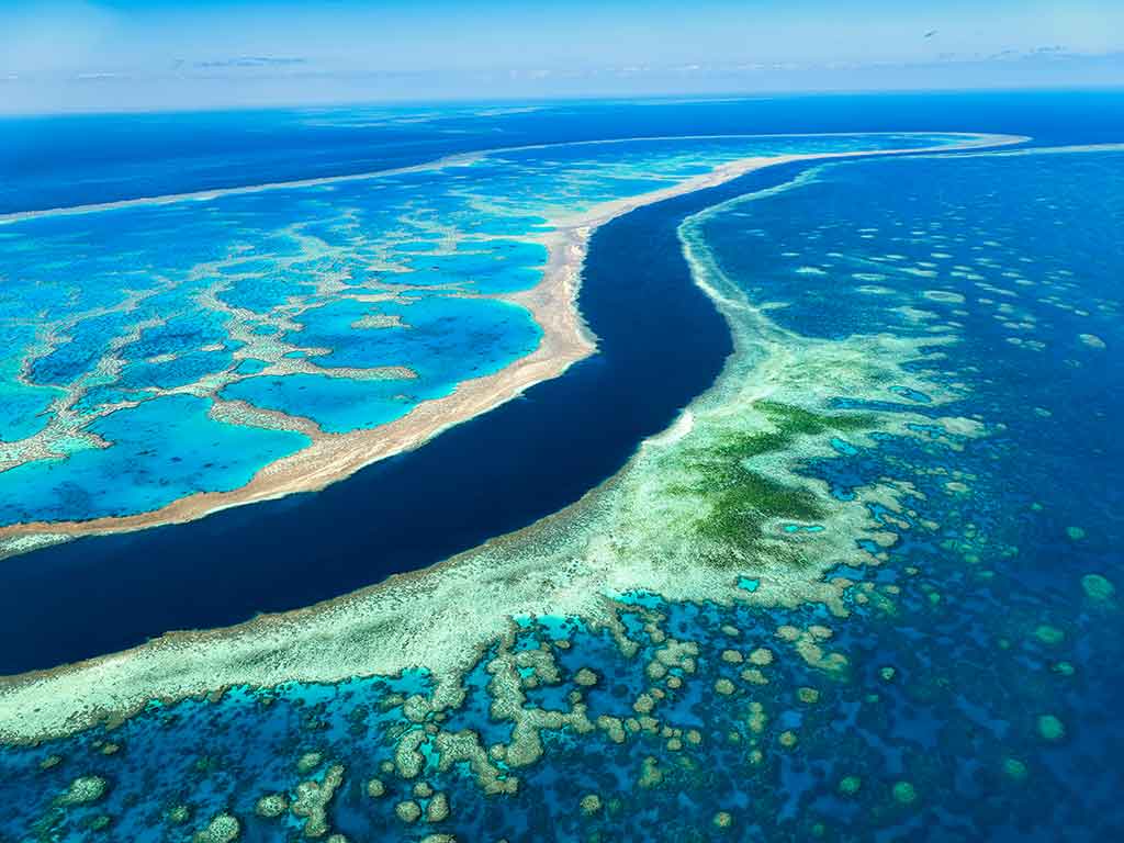 Great Barrier Reef in Australia - Seaquest