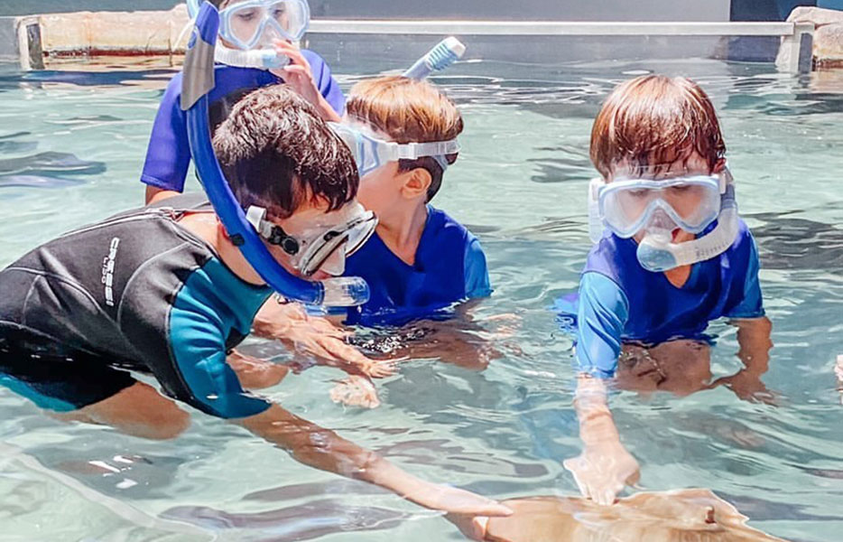 Kids snorkeling at Aquarium