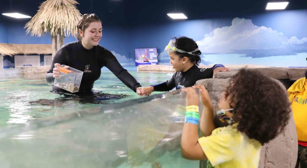 Kids snorkel and feed stingrays at SeaQuest aquarium