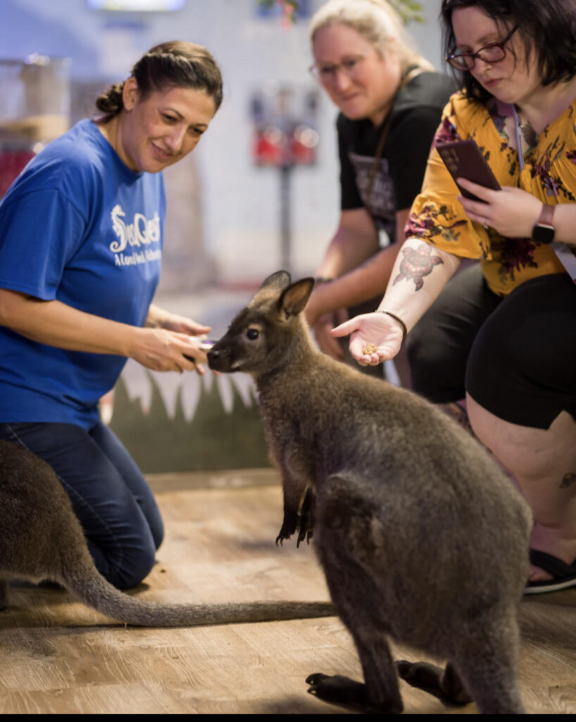 Wallaby encounter at SeaQuest