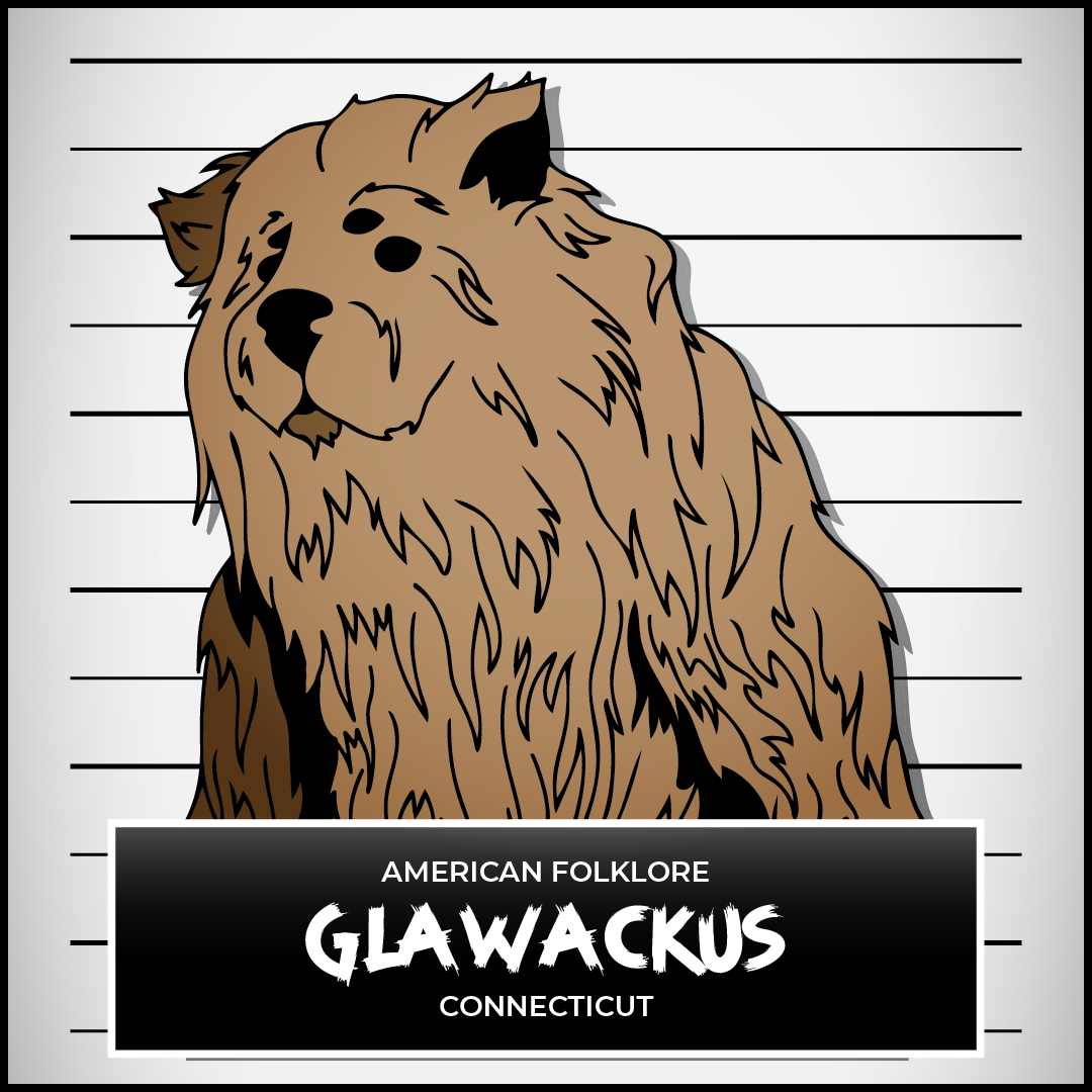 Glawackus Connecticut