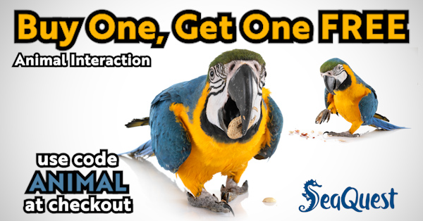 Colorful Parrot eats some seeds get a discount at seaquest