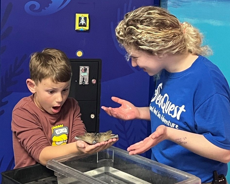 Kid is excited when he holds sea creature in his hands