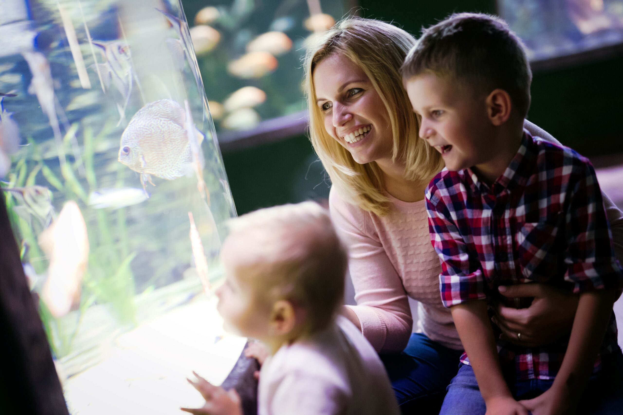 Mom and Kids watch fish at aquarium