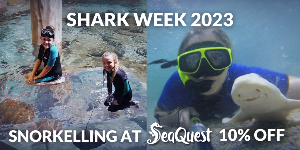 Kids and family snorkel with stingrays and sharks at SeaQuest