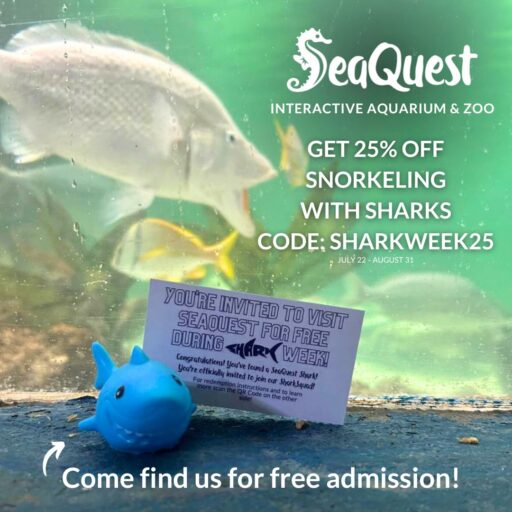 shark-week-2023-snorkel-with-sharks-seaquest-visitseaquest-1