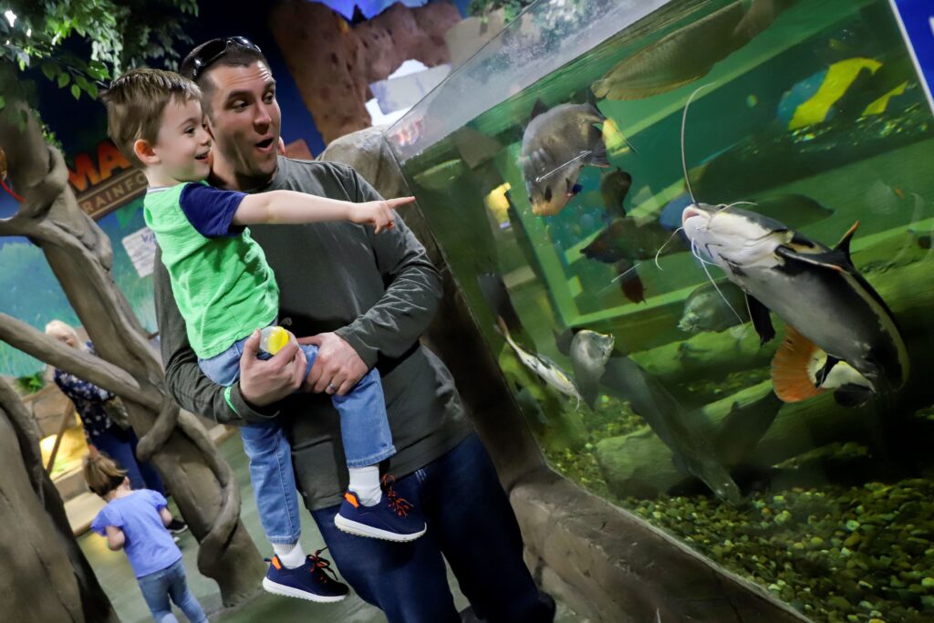 Father and son check out fish of the Amazon at SeaQuest