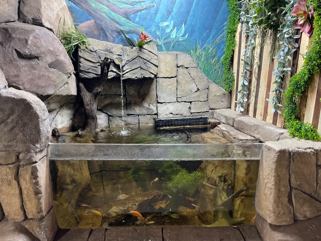 Fish tank habitat at SeaQuest