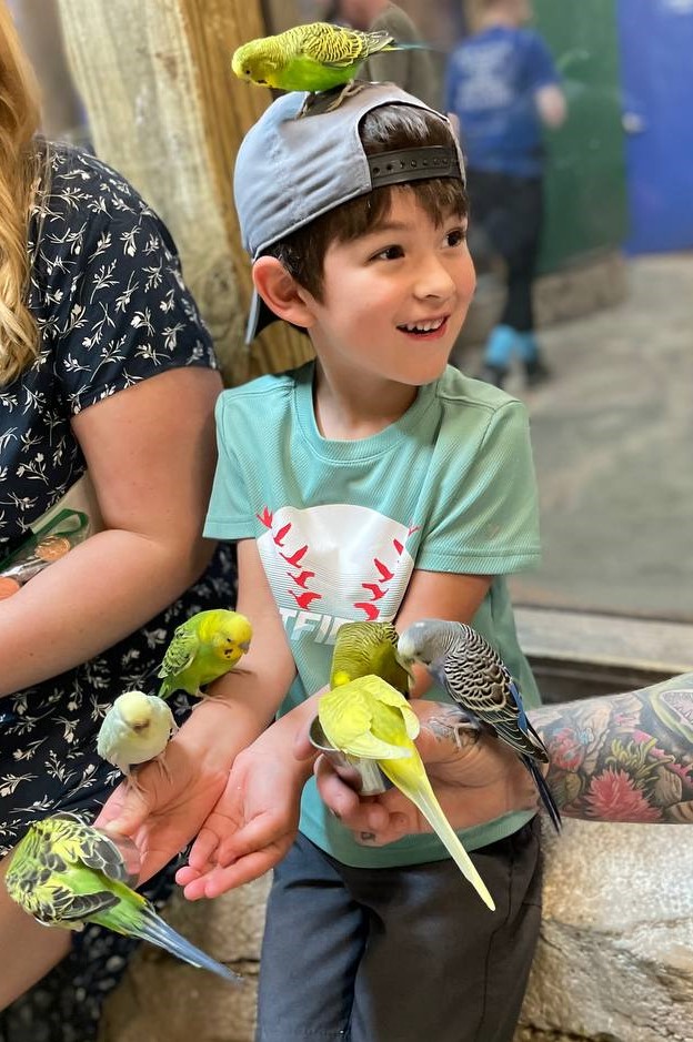 Young boy holds parakeet at SeaQuest