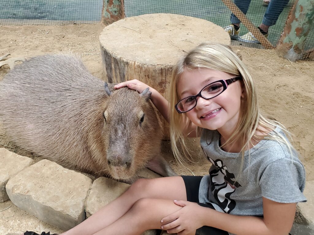 Young girl pets Capybara at SeaQuest