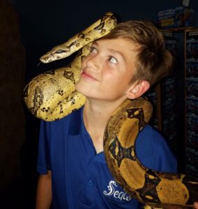 Young teen holds a python at SeaQuest