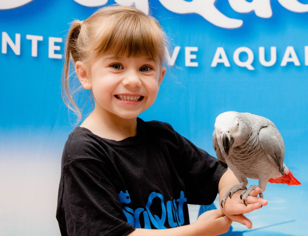 Little girl holds Parrot at SeaQuest bird show