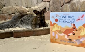 Wallaby with a book at SeaQuest