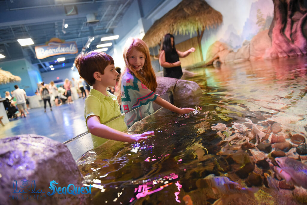 Brother and sister play in the touch tank at SeaQuest