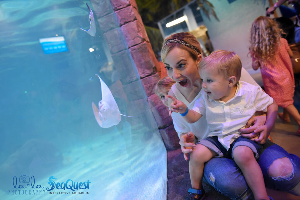 Mom and baby watch stingrays at SeaQuest Aquarium