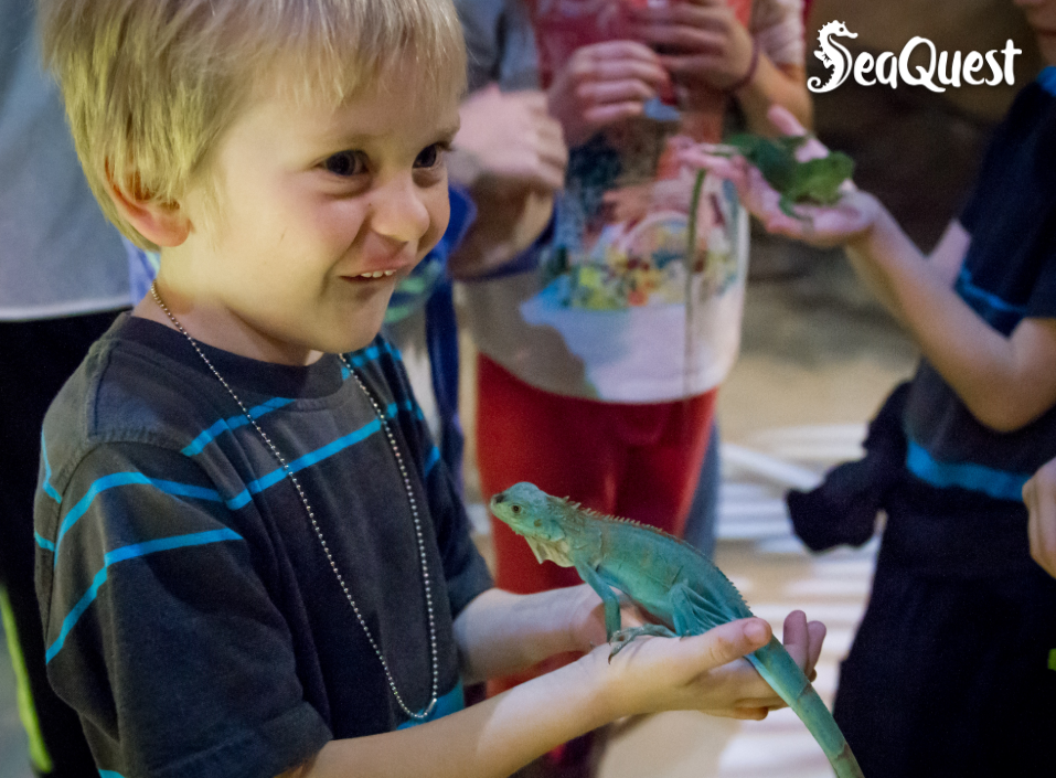 boy holds iguana at SeaQuest