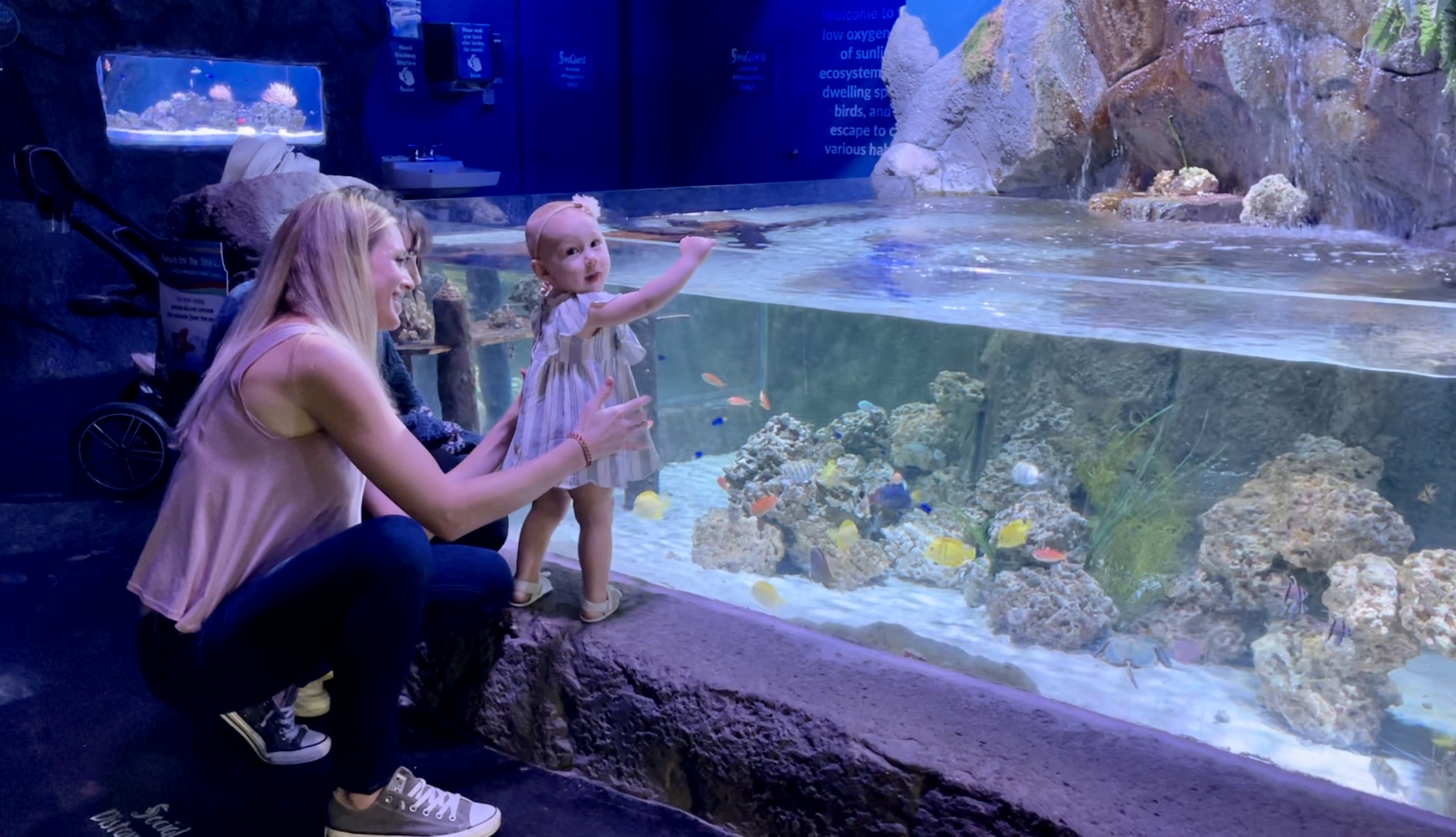 Mom and baby at Fish tank SeaQuest Utah