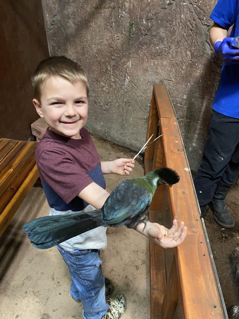 Kid feed bird at SeaQuest